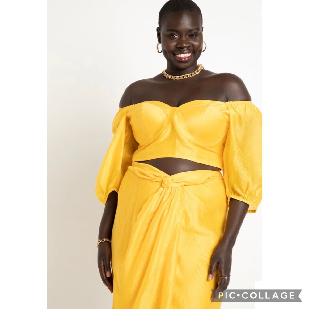 Flash Sale! NWT! Eloquii Cropped Bustier Top